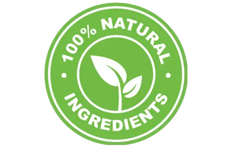 Memocept stimulant-free natural ingredients